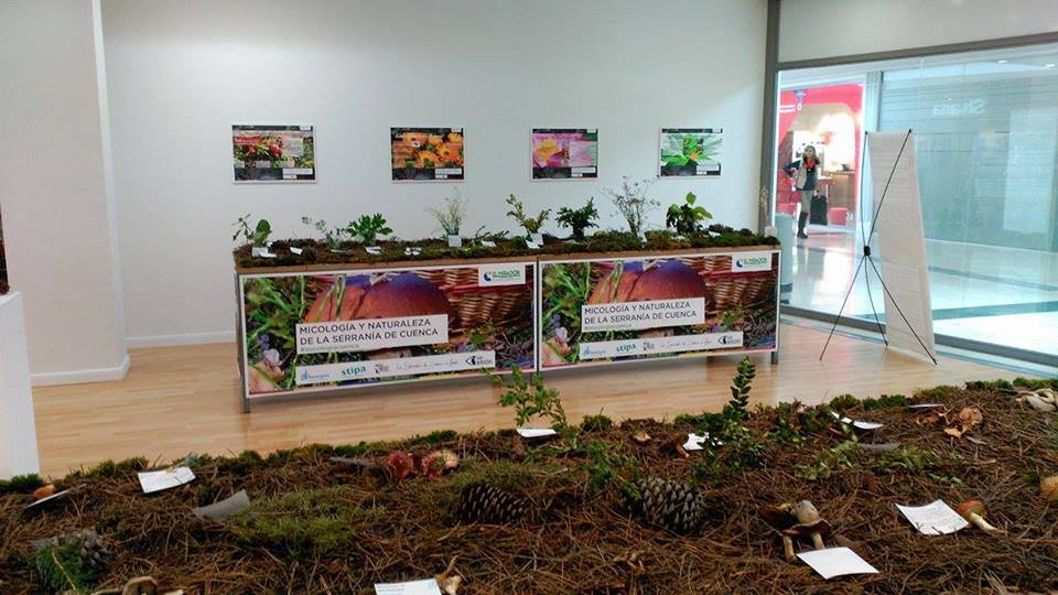 INSCRIPCIÓN LOCALIDADES